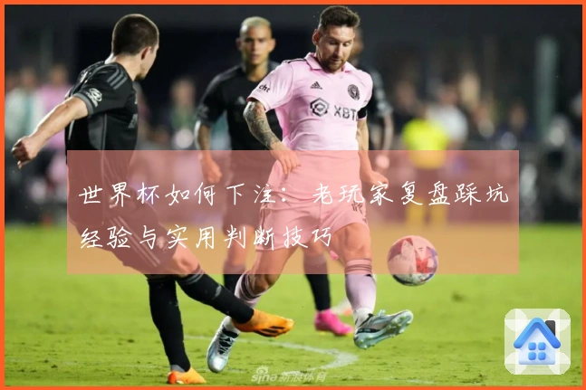 世界杯如何下注：老玩家复盘踩坑经验与实用判断技巧