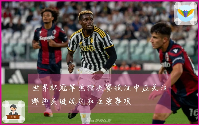 世界杯冠军竞猜决赛投注中应关注哪些关键规则和注意事项
