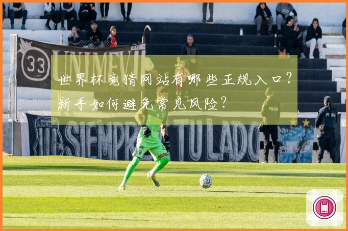 世界杯竞猜网站有哪些正规入口？新手如何避免常见风险？