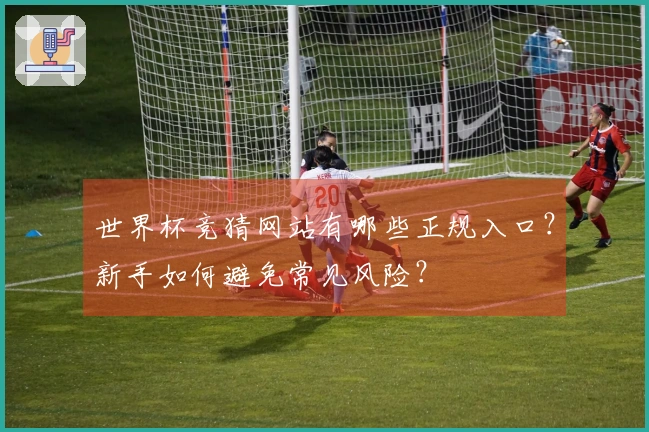世界杯竞猜网站有哪些正规入口？新手如何避免常见风险？