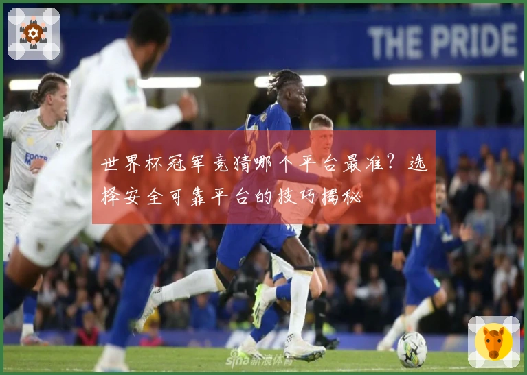 世界杯冠军竞猜哪个平台最准？选择安全可靠平台的技巧揭秘